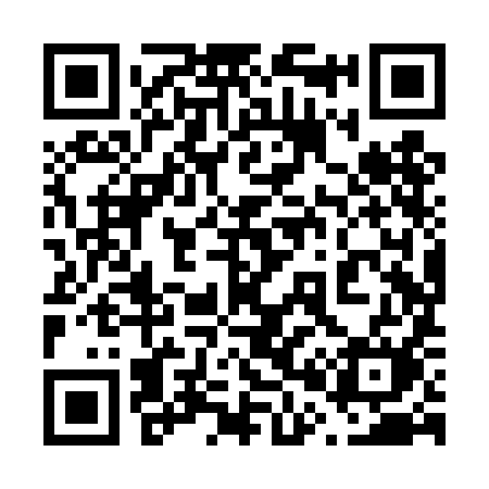 QR code for 608TIM