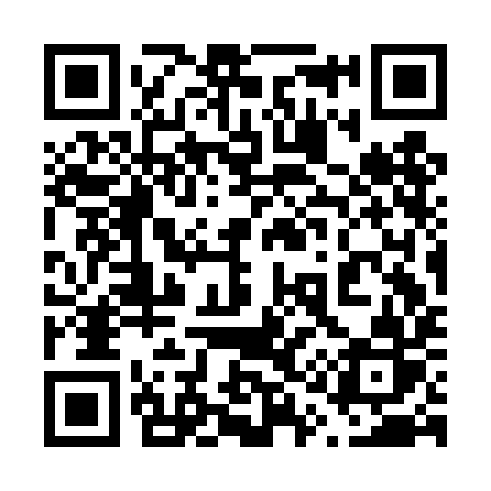 QR code for 613DIR