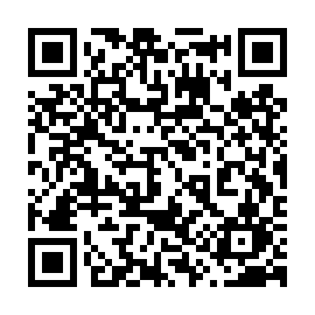 QR code for 613DSN