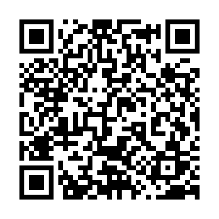 QR code for 617ISR