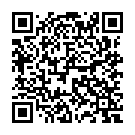 QR code for 638INK