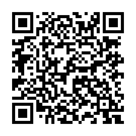 QR code for 638LAI