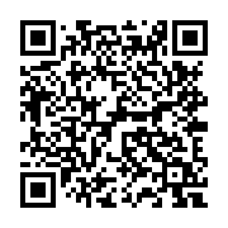 QR code for 638XYT