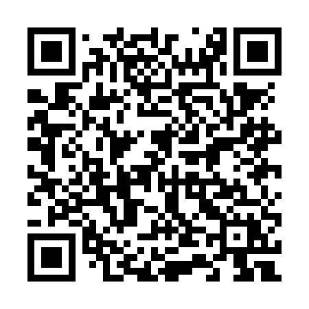 QR code for 641NEX