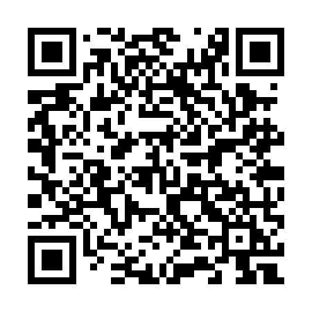 QR code for 643PMI
