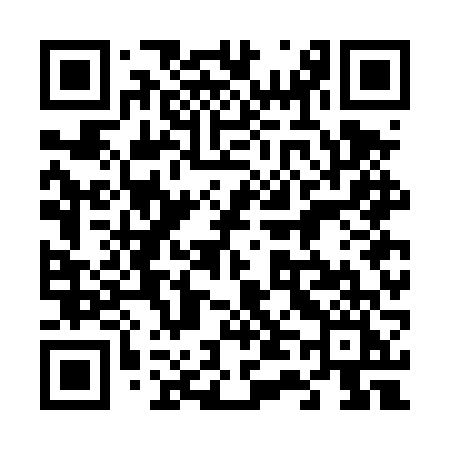 QR code for 647DVI
