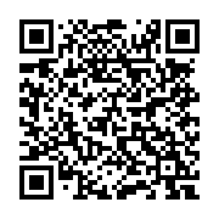 QR code for 647LUM