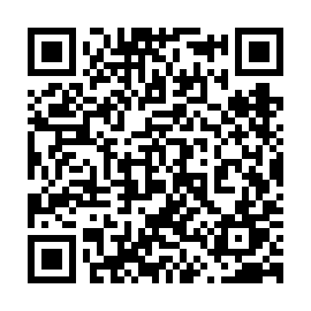 QR code for 647VIT