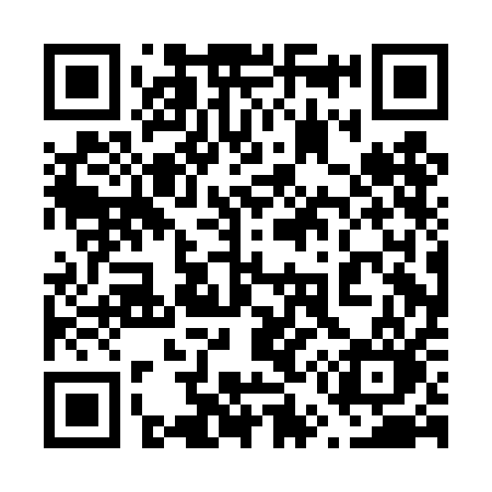 QR code for 650DAO