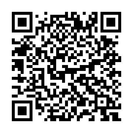 QR code for 650DUB