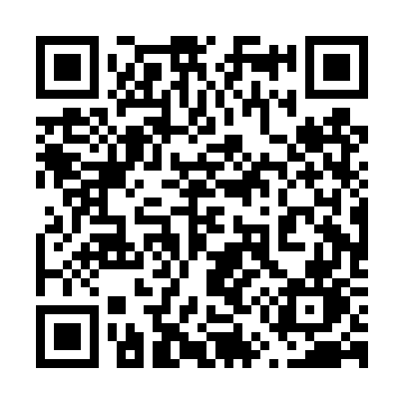 QR code for 650DWN