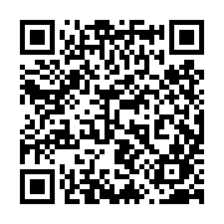 QR code for 650DYN