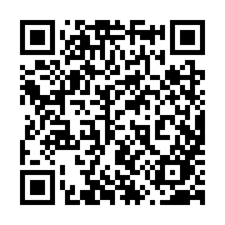 QR code for 650SXO