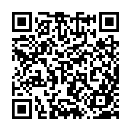 QR code for 650SYN