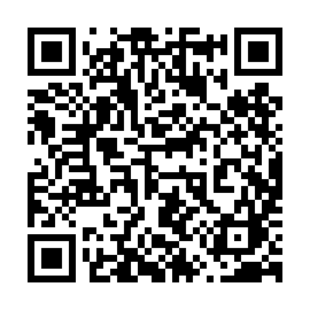 QR code for 650TIC