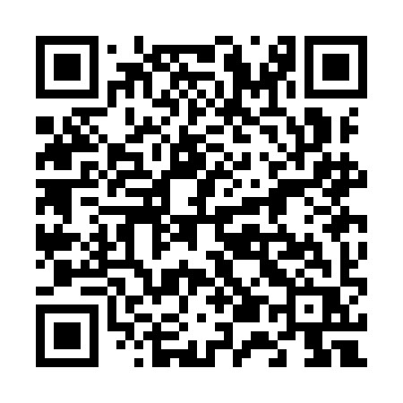 QR code for 653IIR