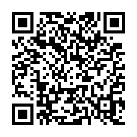 QR code for 653WAO