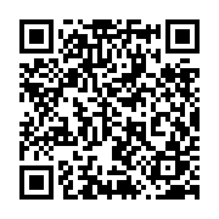 QR code for 653ZAR