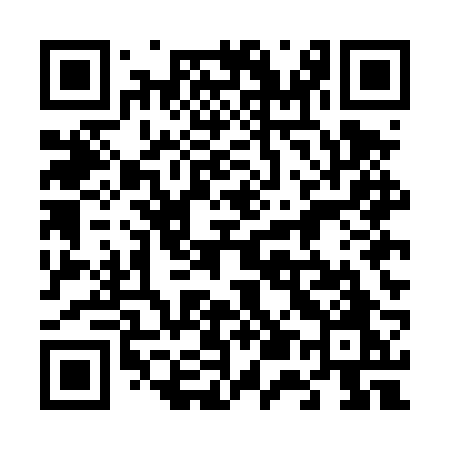 QR code for 655DRO