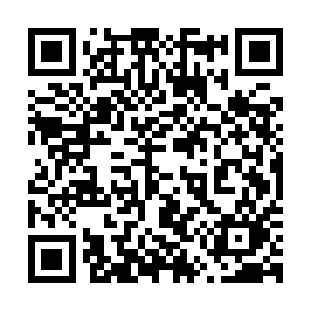 QR code for 655IAO