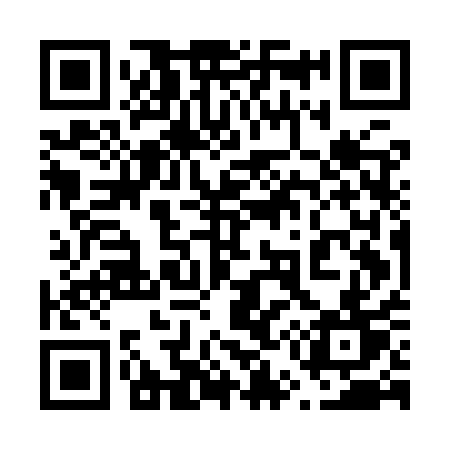 QR code for 655IQT