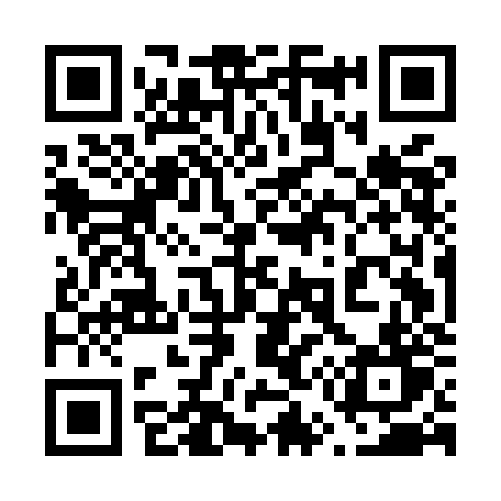 QR code for 655MJT