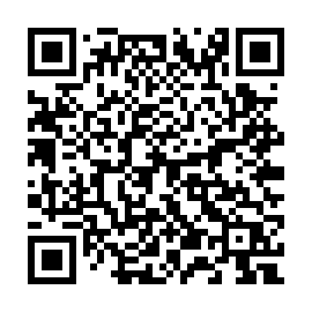 QR code for 655PVP