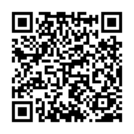 QR code for 655SKP
