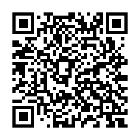QR code for 655STE