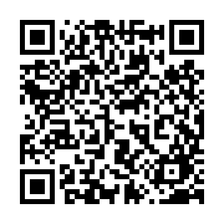 QR code for 658DYG
