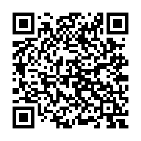 QR code for 663PMI
