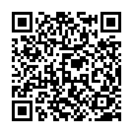 QR code for 665ZYZ