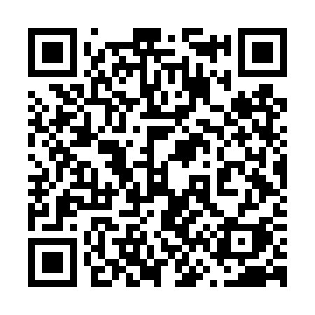 QR code for 666DSI