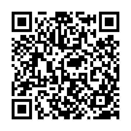 QR code for 668DYN