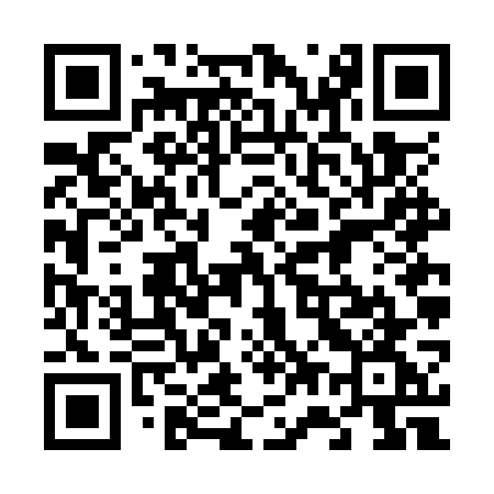 QR code for 676OWG