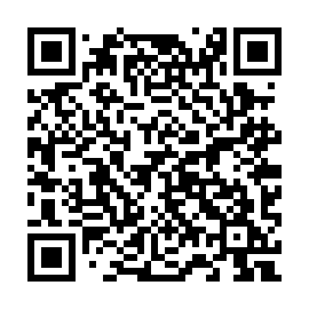 QR code for 677PIG