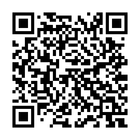 QR code for 677PUL