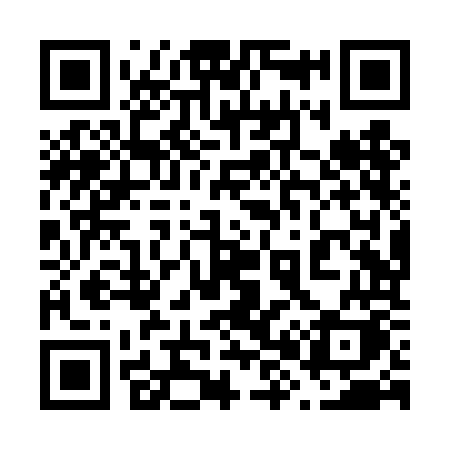 QR code for 688TOK