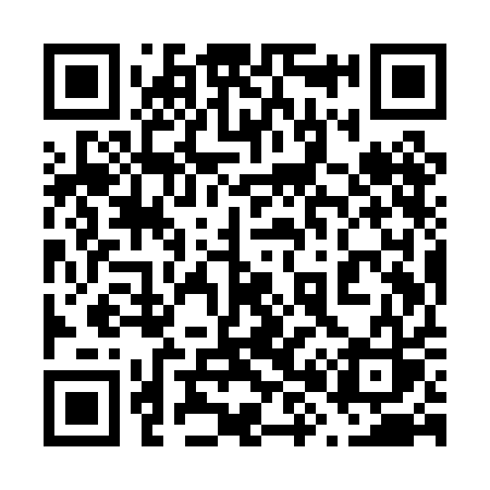 QR code for 689PAS