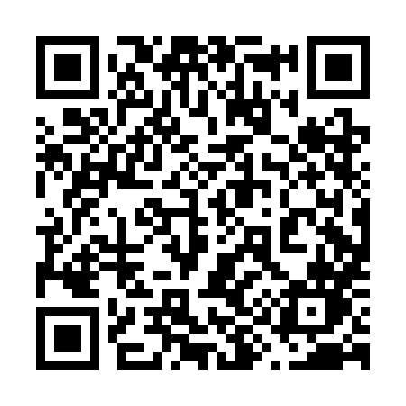 QR code for 690CHN