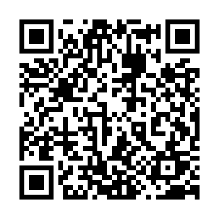 QR code for 691OST