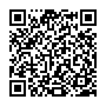 QR code for 695MIS