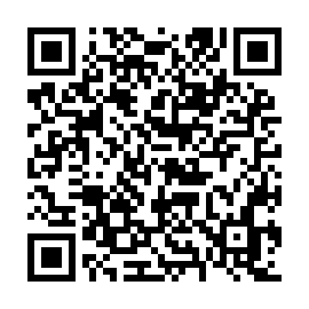 QR code for 696INN