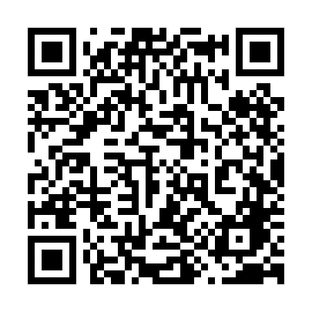 QR code for 696PDG