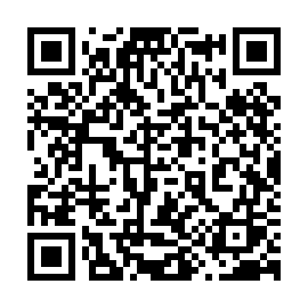 QR code for 696PGS