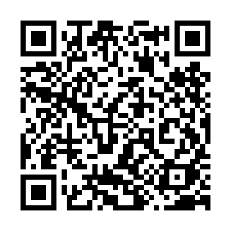 QR code for 699DII