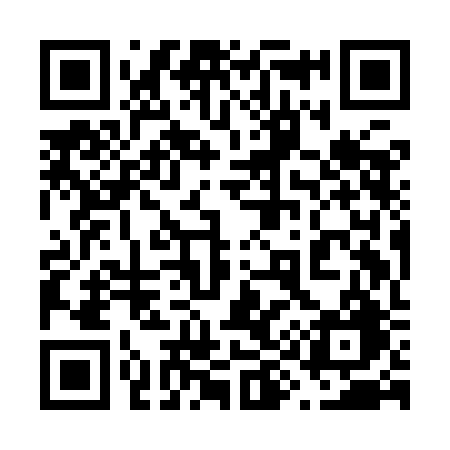 QR code for 699IBG