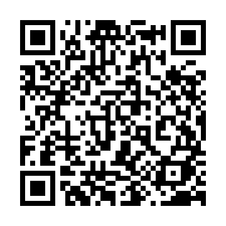 QR code for 699IMI