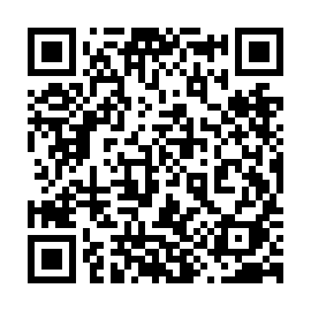 QR code for 699NII