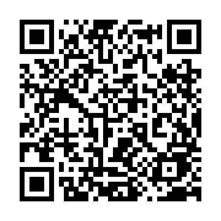 QR code for 699SME